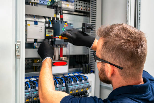 Best Electric Panel Repair  in Bloomington, TX